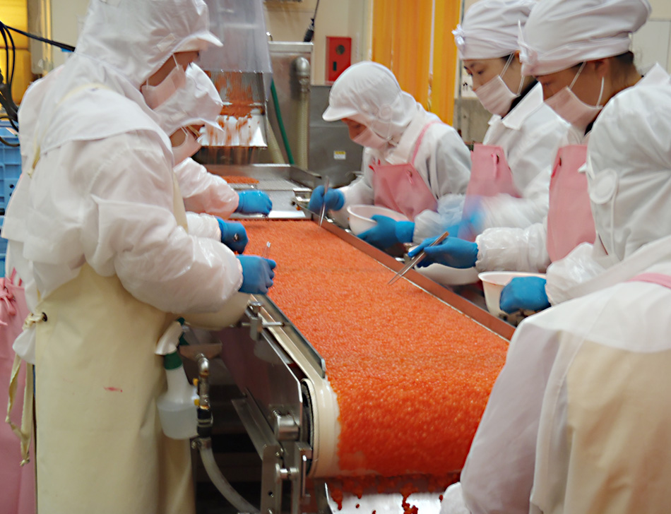 Each individual salmon roe is washed with care.