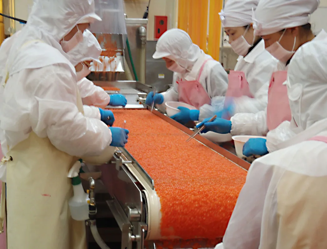 Salmon roe sorted by hand