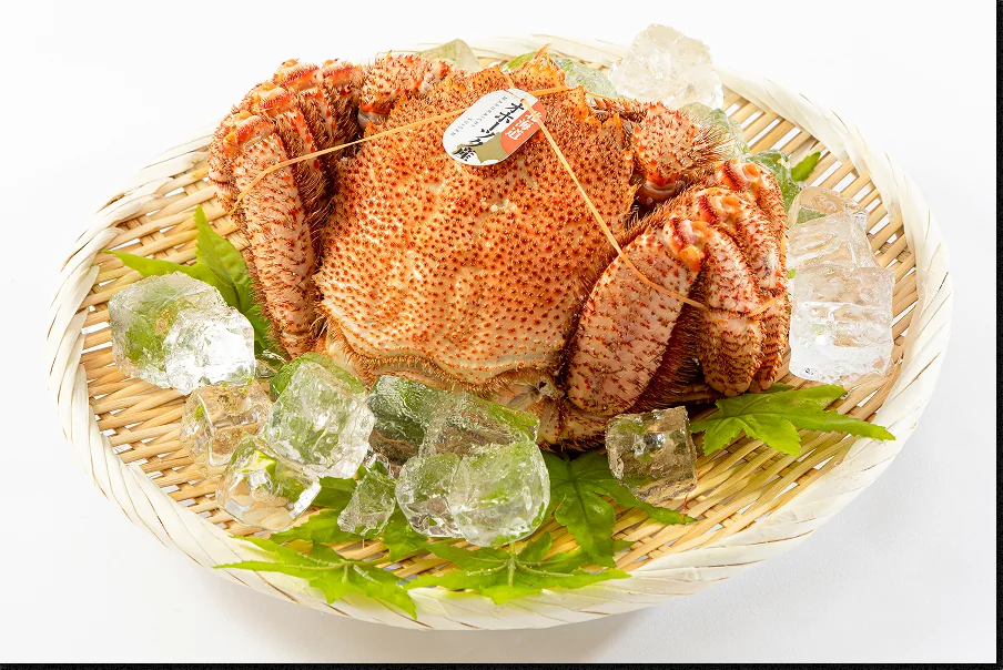 Frozen horsehair crab