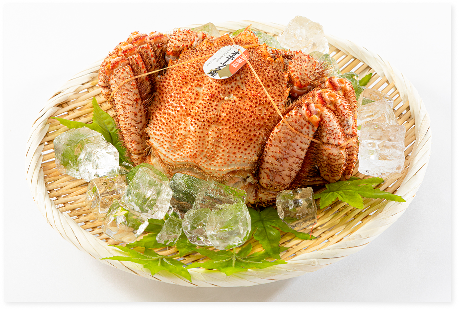 Frozen Horsehair Crab