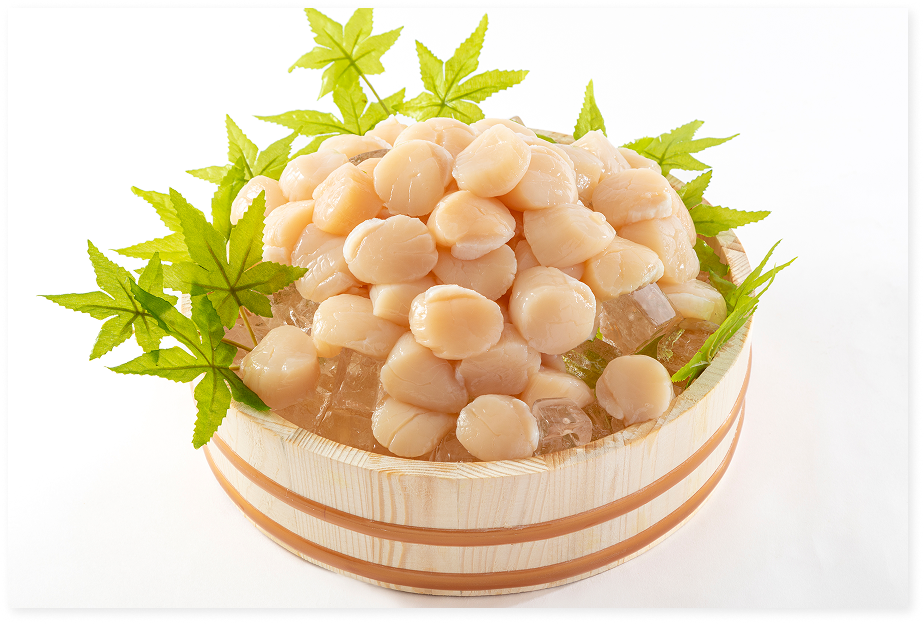 Frozen Scallops